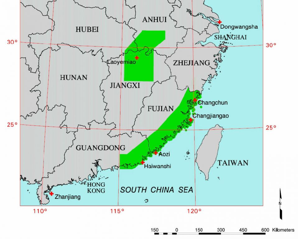 在 Windows 安装过程中：清除所有分区，从头开始构建你的系统