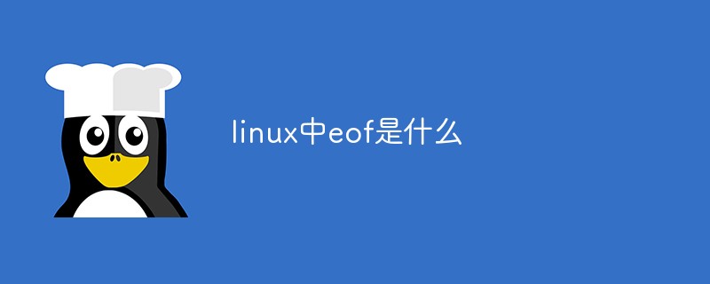 使用 UEFI BIOS 安装 Windows 10 的详细指南