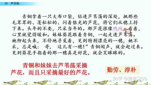 四年级学生鞋码指南：37码是否合适？了解足部发育与鞋码选择的最佳实践