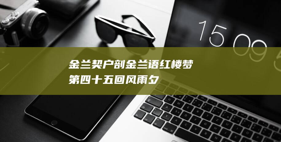 金兰契户剖金兰语红楼梦第四十五回风雨夕