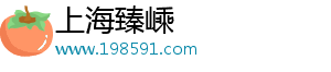 上海臻嵊电子商务有限公司