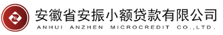 安徽省安振小额贷款有限公司