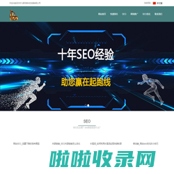 SEO_快速排名_网站优化_网络推广_seo优化 - 老羚羊软件