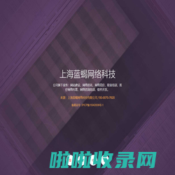 上海蓝蝎网络科技有限公司_专注医疗网络托管,微信运营托管，团队打造！