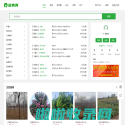 苗青青_苗木求购批发价格_苗木销售平台_园林绿化苗木网_青青花木网