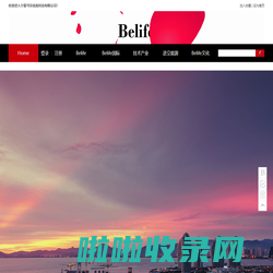 宁夏可乐信息科技有限公司_Belife, Inc.