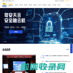 奇安信集团-新一代网络安全领军者