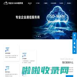 SD-WAN专线_SDWAN组网_国际上网专线_企业网络加速