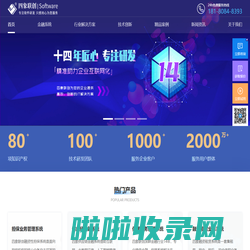 软件定制开发-小贷管理系统-金融系统服务商-四象联创