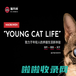 猫不问 - YOUNG CAT LIFE