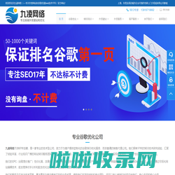 google优化，谷歌优化，谷歌推广，谷歌关键词优化，google关键词优化公司哪家好 - 九凌网络