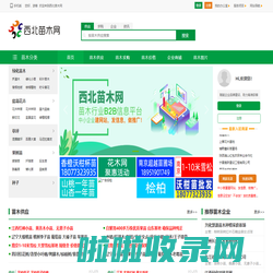 西北苗木网--苗木求购|绿化苗木价格|陕西苗木