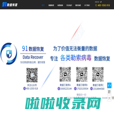 91数据恢复-勒索病毒数据恢复专家,hmallox/rmallox/baxia/bixi/lcrypt/faust/mk