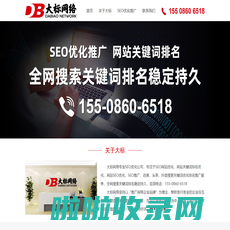 【大标网络】专业SEO优化公司 - 网站优化-网站排名-百度SEO-整站优化-关键词排名优化推广-网站SEO外包服务公司