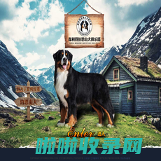 首页 - 伯恩山犬,伯恩山,森利得犬舍,bmdchina