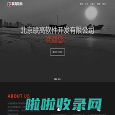 北京联高软件开发有限公司 Beijing Legal Software Ltd.