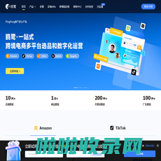 鸥鹭 - 跨境电商五大平台选品与运营 Amazon｜TikTok｜TEMU｜SHEIN｜Shopify