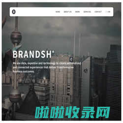 班田互动创意 数字营销 - BRANDSH